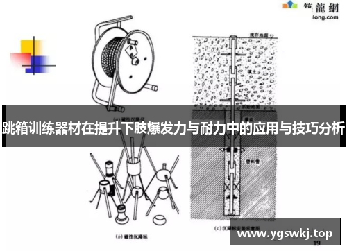 跳箱训练器材在提升下肢爆发力与耐力中的应用与技巧分析