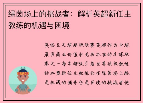 绿茵场上的挑战者：解析英超新任主教练的机遇与困境